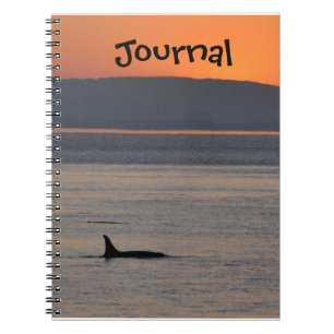 Sunset Orca Journal