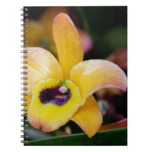 Sunset Orchid Notebook
