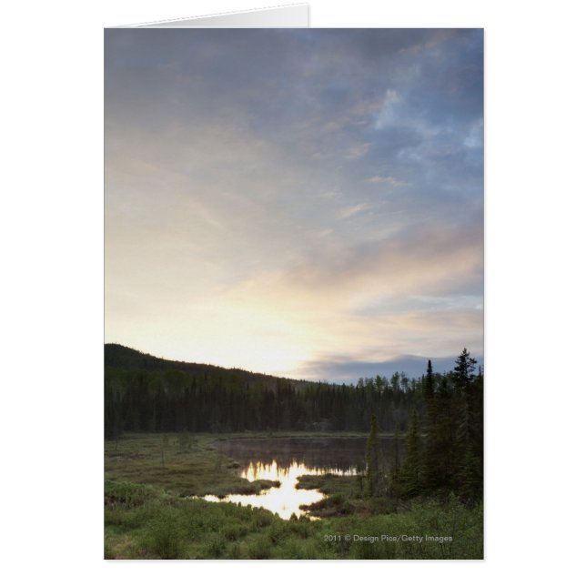 Sunset Over A Misty Pond (Front)