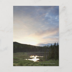 Sunset Over A Misty Pond Postcard