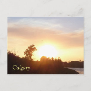 Sunset over Calgary skyline Postcard