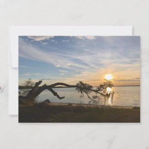 Sunset Over East Bay Card