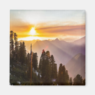 Sunset over forest magnet