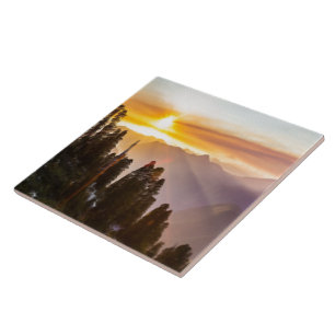 Sunset over forest tile