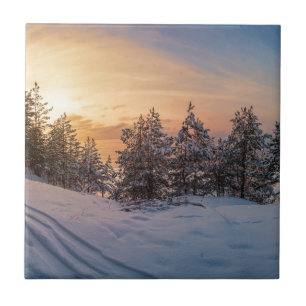 Sunset over frozen snowy forest near sea tile