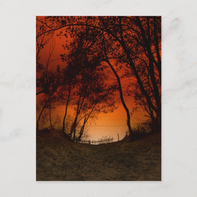 Sunset over Lake Michigan dunes Postcard (Front)