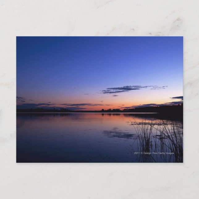 Sunset Over Lake Wabamun With Grass Postcard (Front)