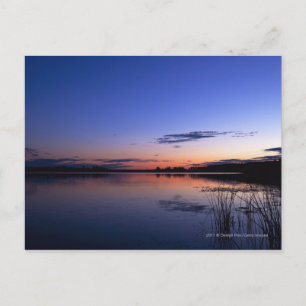 Sunset Over Lake Wabamun With Grass Postcard