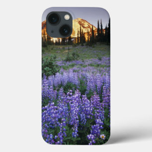 Sunset over Mt. Adams and a sub-alpine meadow iPhone 13 Case