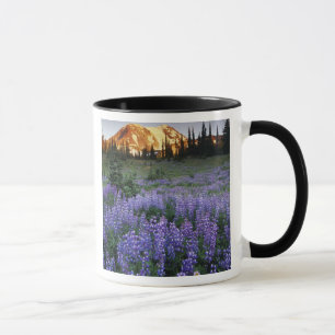 Sunset over Mt. Adams and a sub-alpine meadow Mug