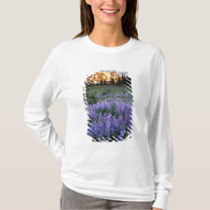 Sunset over Mt. Adams and a sub-alpine meadow T-Shirt