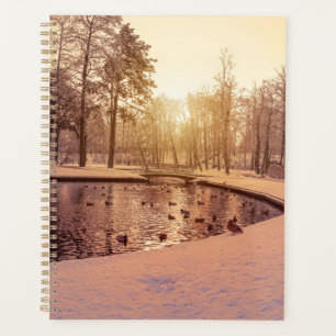 Sunset over park with small frosty lake planner