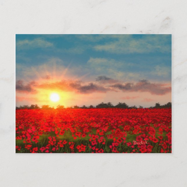 Sunset Over Poppy Field JW Postcard (Front)