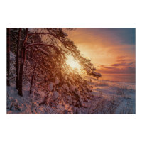 Sunset over sea and snowy pine tree