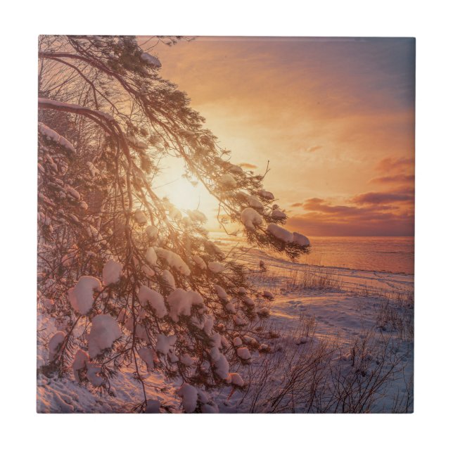 Sunset over sea and snowy pine tree tile (Front)