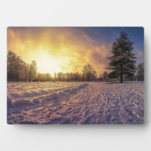Sunset over snowy winter park plaque