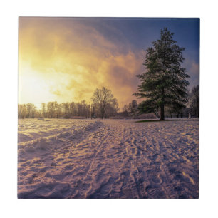 Sunset over snowy winter park tile