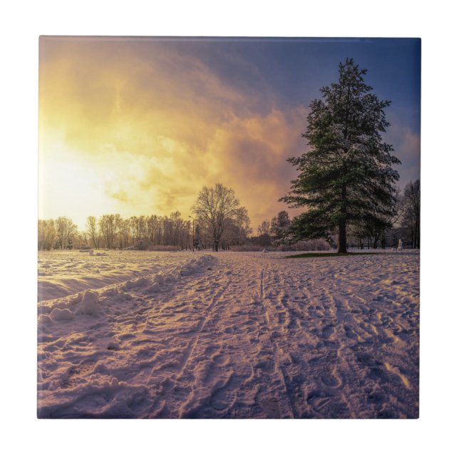 Sunset over snowy winter park tile (Front)