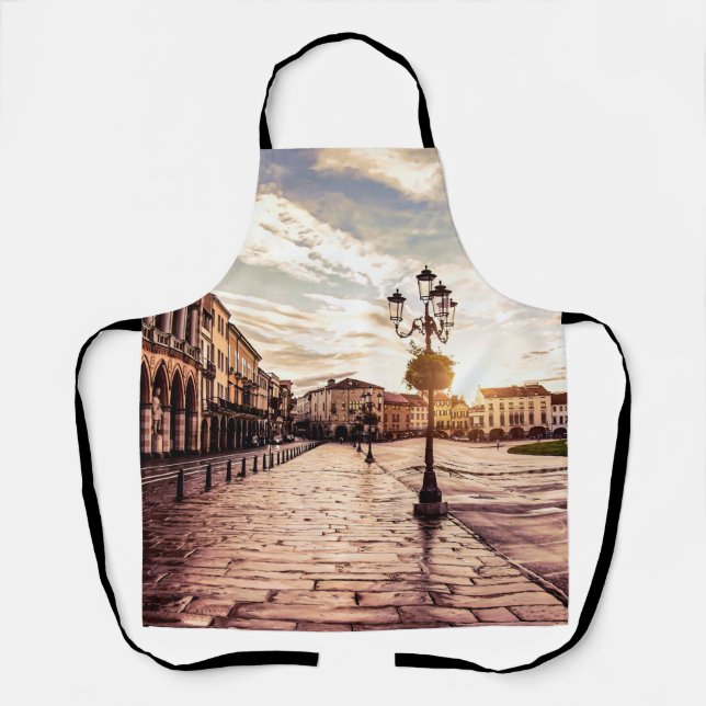 Sunset over square in Padova in Italy Apron (Front)