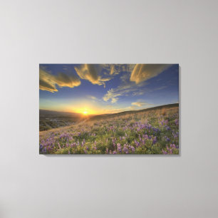 Sunset over the Bitterroot Mountains and vast Canvas Print