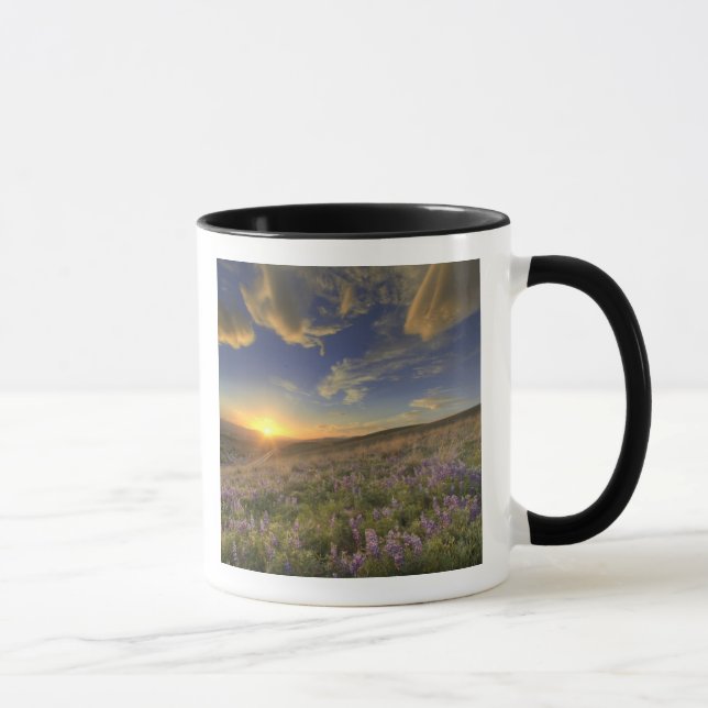Sunset over the Bitterroot Mountains and vast Mug (Right)