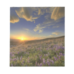 Sunset over the Bitterroot Mountains and vast Notepad