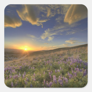 Sunset over the Bitterroot Mountains and vast Square Sticker