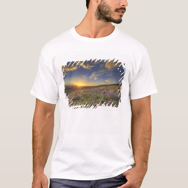 Sunset over the Bitterroot Mountains and vast T-Shirt (Front)