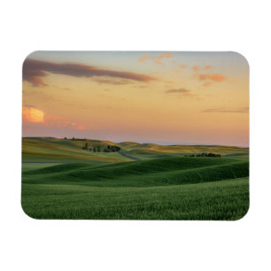 Sunset over Wheat Fields Washington State Magnet