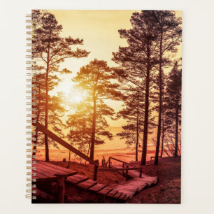 Sunset over wooden path in pine forest planner