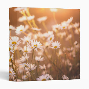 Sunset Oxeye Daisies Binder