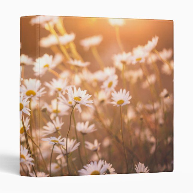 Sunset Oxeye Daisies Binder (Front/Spine)