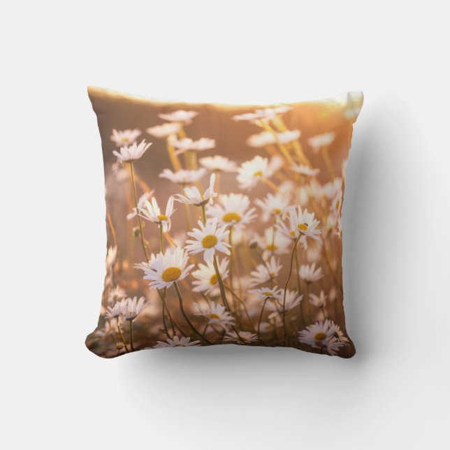 Sunset Oxeye Daisies Throw Pillow (Front)