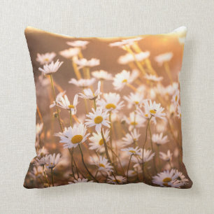 Sunset Oxeye Daisies Throw Pillow