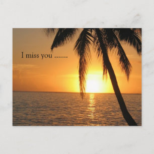 Sunset Palm Beach Peace Love Destiny Postcard