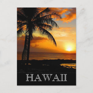 sunset palm hawaii postcard