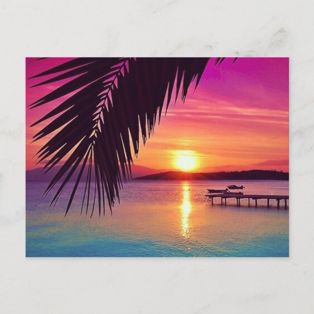 Sunset Palm Postcard (Front)
