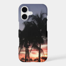Sunset Palm Trees