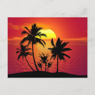 Sunset Palm Trees Silhouette-65153 Postcard