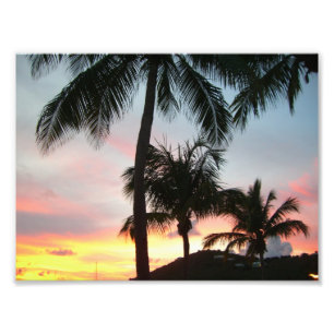 Sunset Palms Tropical Paysage Photographie