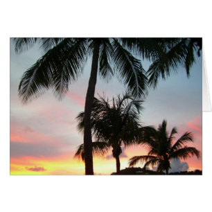 Sunset Palms Tropical Paysage Photographie