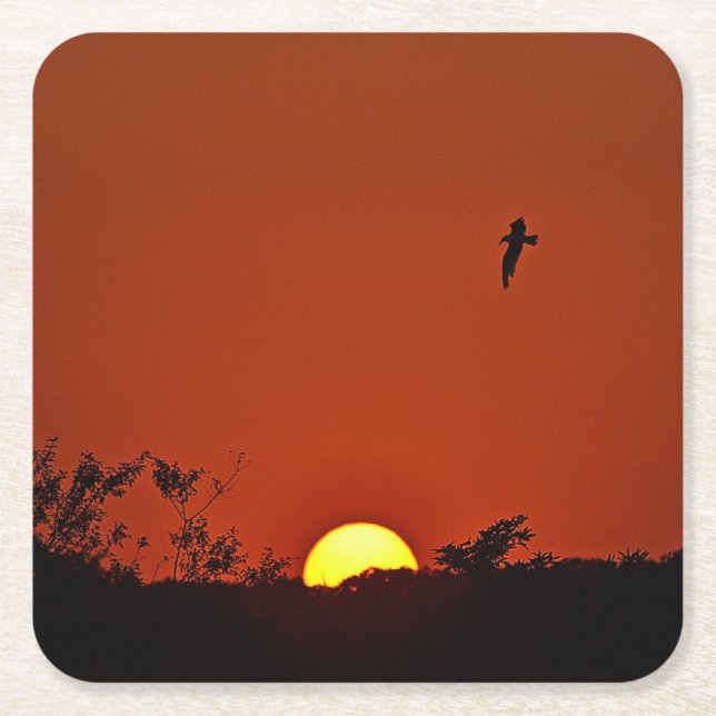 Sunset Party Coaster (Front)