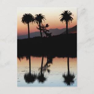 Sunset Postcard