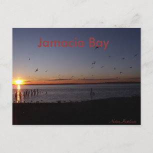 Sunset Postcard