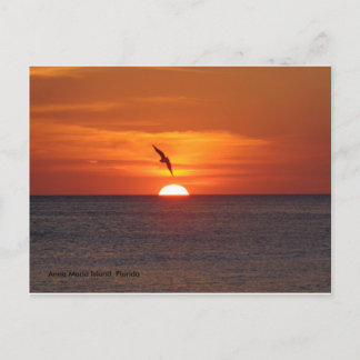 Sunset Postcard