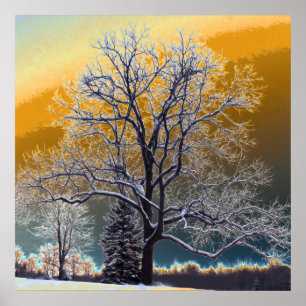 Sunset Poster