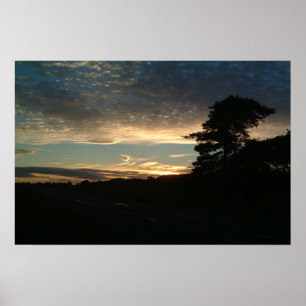 Sunset Poster