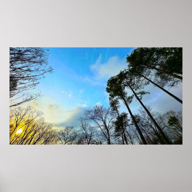 Sunset,  poster (Front)