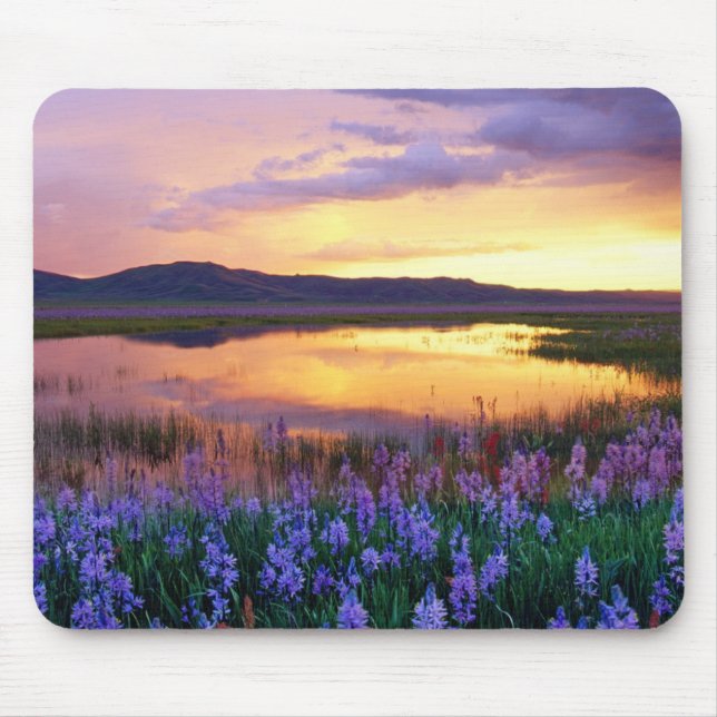 Sunset Prairie Scene Mouse Pad (Front)
