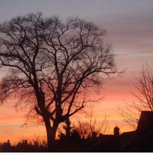 Sunset red sky with shadow roof tops and trees jigsaw puzzle